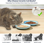 Selamica Ceramic Cat Bowls, 6 Inch Cat Food Bowl Whisker Friendly, Shallow Wide Kitten Plates for Food and Water, Set of 4, Gradient Blue
