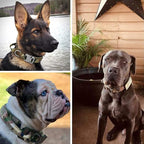 Tactical Dog Collar Adjustable Military Nylon Dog Collar with Control Handle and Heavy Duty Metal Buckle for Medium and Large Dogs (Camo,L)
