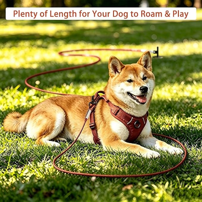 Dog Tie Out Cable - Chew Proof Steel Wire Lead - 360° Tangle Free Outdoor Leash for Pups - Dog Runner Cable for Small to Medium Dogs (Red, 45lbs/20ft)