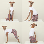 D Doggy Star Italian Greyhound Clothes Mombbe Onesie Outfit Whippet for Dog Coat (2XL,Mombbe Black)