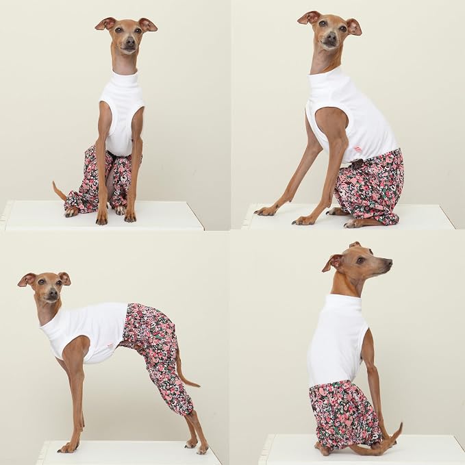 D Doggy Star Italian Greyhound Clothes Mombbe Onesie Outfit Whippet for Dog Coat (XL,Mombbe Black)