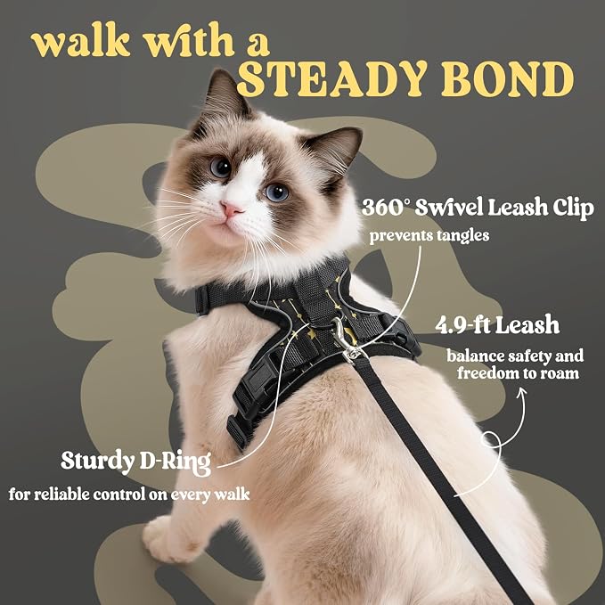 rabbitgoo Cat Harness and Leash Set, Escape Proof Vest, Lunar Prowl | Soft Breathable Mesh, Easy Adjustable Fit, Snap Buckles, Sturdy Clip, Reflective Strips, for Medium to Large Cats Walks, M