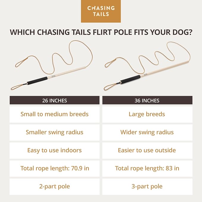 Chasing Tails Flirt Pole for Small Dogs - 26 Inch with 70 Inch Rope and Two Toys -Interactive Play Equipment for Small and Medium Breeds - Durable and Fun Exercise Tool for Active Pets