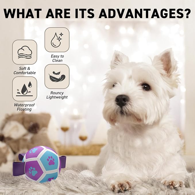 QDAN Small Dog Toys, Puppy Balls, Dog Balls with Straps for Small Breed | 3.5 Inch Small Soccer Ball for Dogs, Puppy Toys for 3-15 lbs Dogs, Dog Birthday Gift, Herding Ball for Small Dogs, Purple