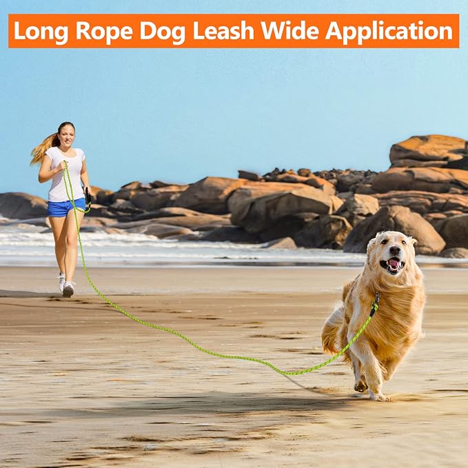 NTR 50FT Dog Long Leash with Swivel Lockable Hook and Comfortable Padded Handle, Dog Training Leash for Walking, Hunting, Camping, Backyard for Small Medium and Large Dogs Green