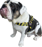 BULLHUG Adjustable Dog Harness– No Pull, No Choke – for English Bulldogs, French Bulldogs, Pugs & Broad-Chested Breeds – Easy, Safe Walks (Caution, Small)