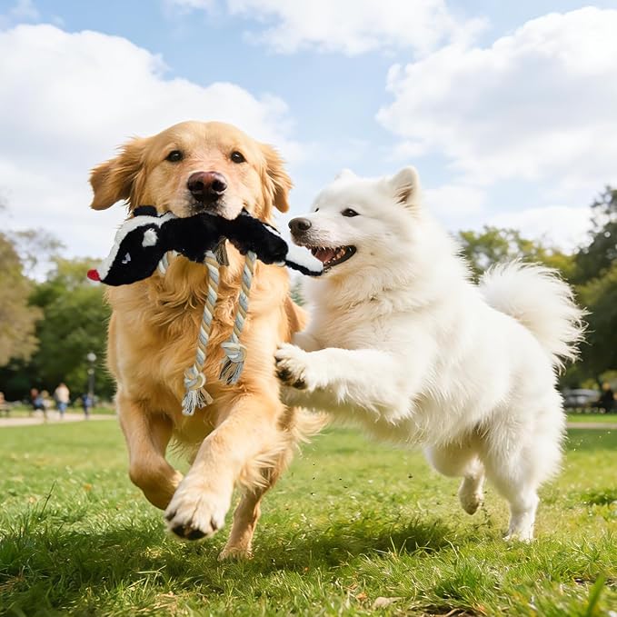 No Stuffing Rope 2-Pack Dog Toys, Chew Toys for Medium, Large Pets | Rope Design Perfect for Interactive Tug of War, Durable Plush Toy for Teething, Indoor Outdoor Play to Keep Puppy Busy
