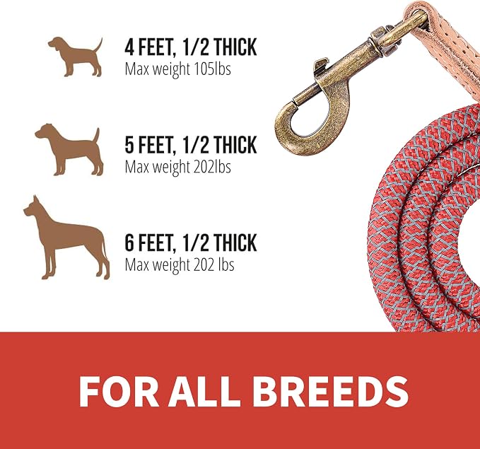 Mile High Life Dog Leash with Genuine Leather Connection, Reflective | Rope Leash, Heavy Duty 360° Swivel Metal Clasp, for Small Medium & Large Dogs Walking (Red, 60 Inch-1/2)