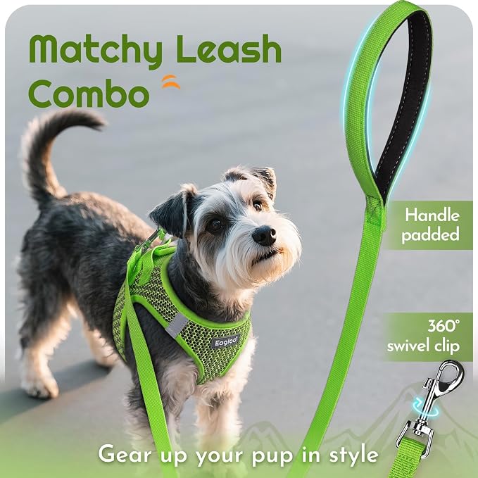 Eagloo Small Dog Harness and Leash Set, Step in Extra Small Puppy Pet Vest | Light, Soft, Breathable Air Mesh, Easy on and off with Hook & Loop, Reflective for Safe Walking, Green, XXS