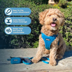 Voyager Step-in Flex Adjustable Dog Harness - Turquoise, X-Small | 13 - 16" in Chest, Fully Adjustable, Reflective Bands, All Weather Breathable Air Mesh, Lightweight, Fast Drying