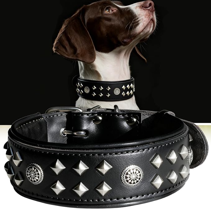 Genuine Leather Dog Collar 2.2 in Wide for Large Dogs Heavy Duty, BK-SL-S | Handcrafted,Stainless Steel Buckle and Alloy Studded,Soft Padded,Fashionable Daily Wear for Large Giant Breed,16.5-20.5 in