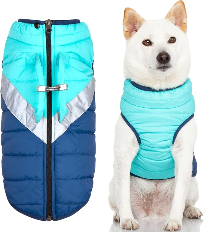 Gooby Mountaineer Dog Jacket - Mint, X-Small - Warm Zip Up Coat with Lift Handle and Dual O Ring Leash Water Resistant for Small to Medium Dogs
