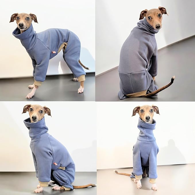 D Doggy Star Italian Greyhound Clothes Stretchy Fleeced Lining Simple Onesie Whippet for Dog Coat (XL,Simple Blue)