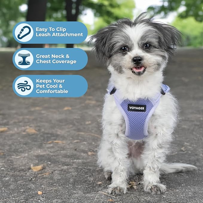 Voyager Step-in Flex Adjustable Dog Harness - Lavender, Small | 15 - 18" in Chest, Fully Adjustable, Reflective Bands, All Weather Breathable Air Mesh, Lightweight, Fast Drying