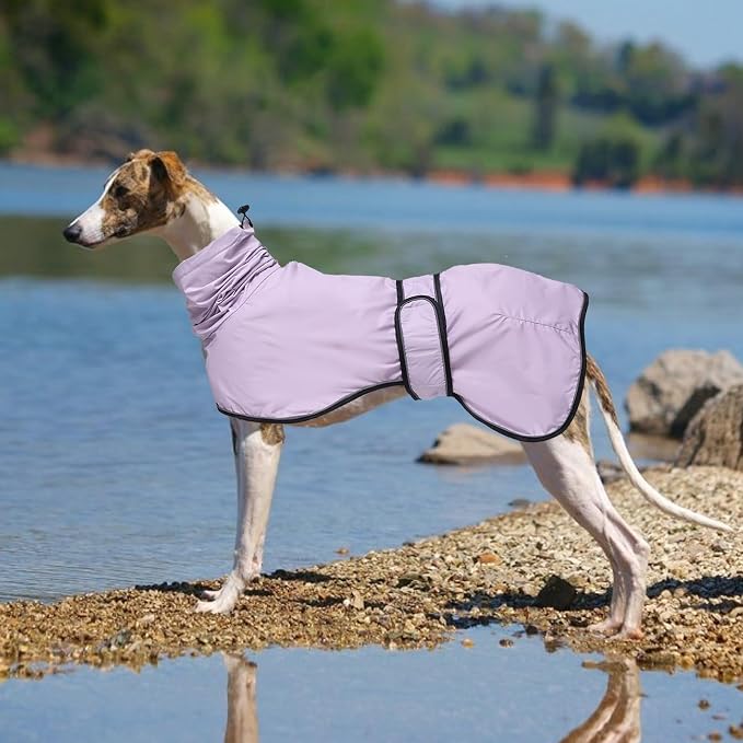Greyhound Whippet Raincoat Waterproof with Reflective Stripe high Neck fit for Italian Greyhounds Whippets Long Back Breeds - Purple - L