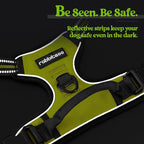 rabbitgoo Dog Harness, No Pull for Small Dogs with 2 Leash Clips, Pet Vest | No Choke with Handle, Adjustable Soft Padded, Reflective, Easy Control for Walking, Wild Lime, Small