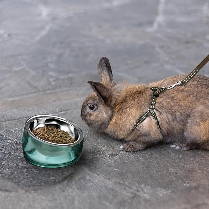 Felli Oblik 15° Tilted Small Animal Bowls for Pet Food & Water 6 oz Stainless Steel Dish Removable, Slanted Metal Plate Feeder for Kitten Puppy Rabbit Bunny Guinchilla Pig (0.75 Cups, Classic)