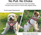 Petmolico No Pull Dog Harness Set with Leash Attachment Easy Control Handle Reflective Harness Vest Small Breed, Puppy Vest and Leash Set with Poop Bag Holder, XS - Boho Floral