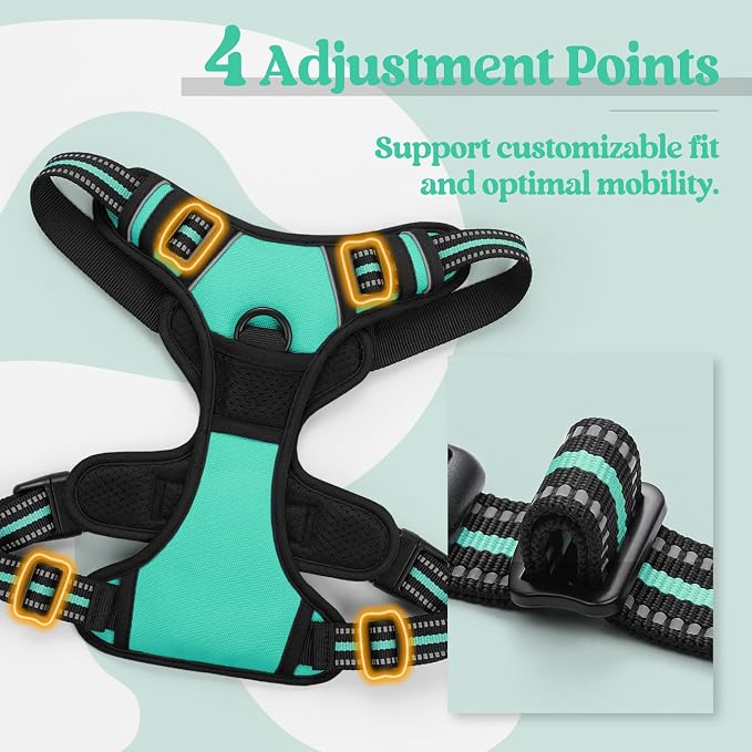rabbitgoo Dog Harness, No Pull for Small Dogs with 2 Leash Clips, Pet Vest | No Choke with Handle, Adjustable Soft Padded, Reflective, Easy Control for Walking, Turquoise, Small