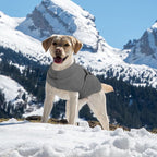 Queenmore XXL Dog Sweaters, Soft Fleece Vest Pullover Dog Jacket with Leash Hole, Warm Winter Dogs Clothes Cold Weather Doggy Dachshund Sweater for Large Dogs Cats Boy or Girl (Grey, XXL)