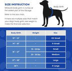 Doggy Lifejacket Neoprene Red Small