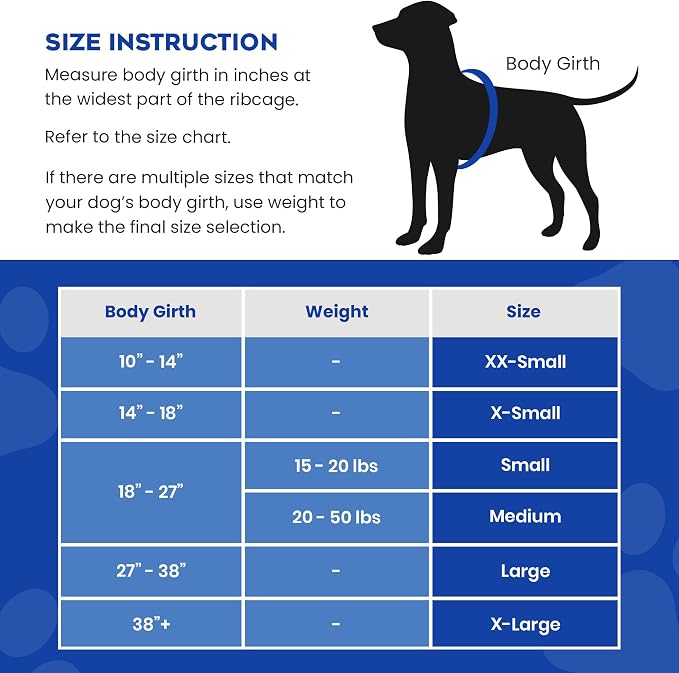 Dog Life Jacket — Premium Swim Vest with SafeChin Anti-Choke Collar | PAWS Aboard Racing Flames | RapidLift Rescue Handle, D-Ring, Reflective Trim | Boating, Kayaking, Pool | X-Large (80–110 lbs)