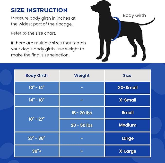 Dog Life Jacket — Premium Swim Vest with SafeChin Anti-Choke Collar | PAWS Aboard Racing Flames | RapidLift Rescue Handle, D-Ring, Reflective Trim | Boating, Kayaking, Pool | XX-Small (Under 6 lbs)
