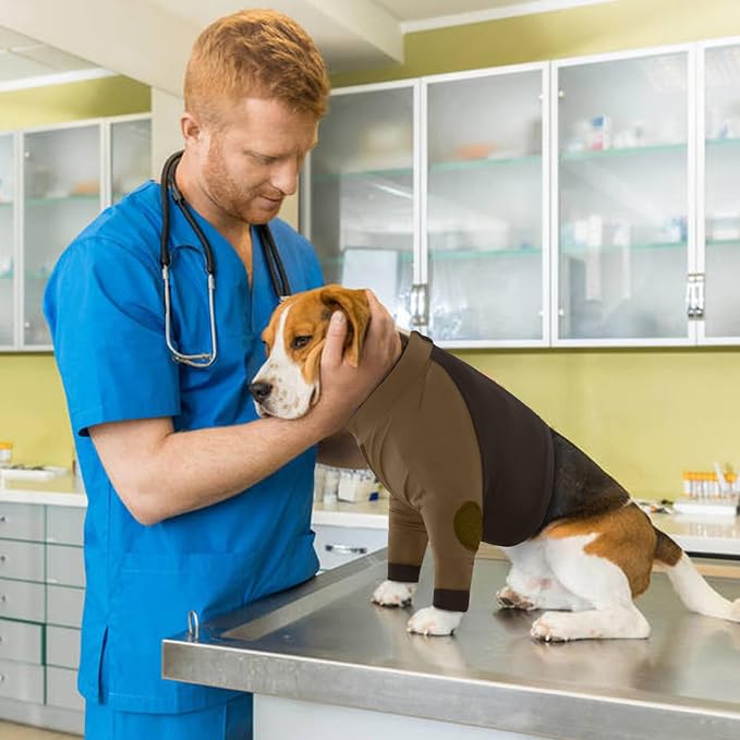 Lelepet Dog Recovery Sleeve for Wounds Front Legs, Stop Licking Dog Shirt | Elbow Protector for Leg Injuries Shoulder Wounds After Surgery Male Female,Zippered Long-Sleeved Shirt Cone Alternative S-3XL