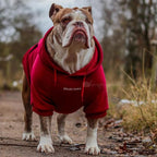 Spark Paws Dog Hoodie – Premium Dog Sweater for Small, Medium, and Large Dogs | Warm Outfits for French Bulldogs, Pitbull, Puppy, Winter Jacket Alternative - Burgundy - 2XL