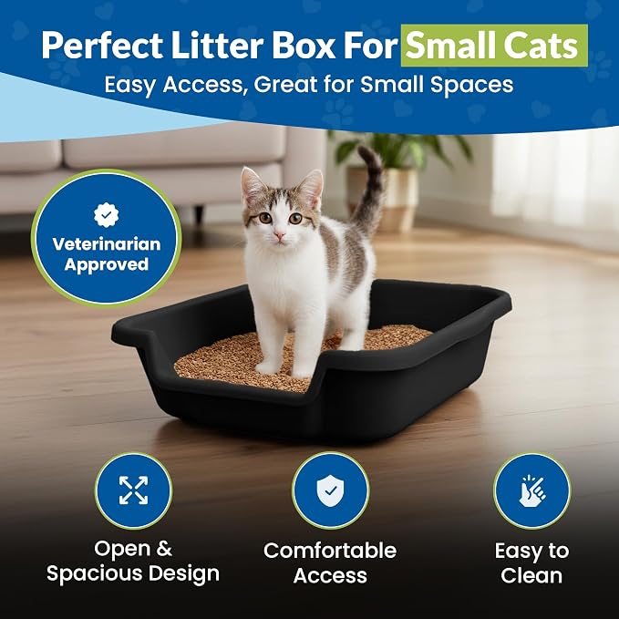 KittyGohere Senior Cat Litter Box Small with Scoop, Black | Open Top Low Entrance Kitty Litter Box With With Long-handle Jumbo Scoop, Lightweight & Durable Litters Box, Made in USA