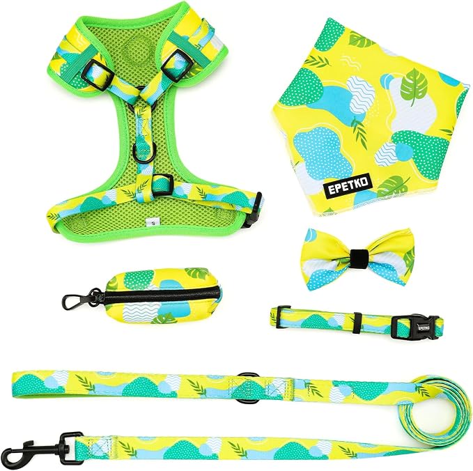 Small Dog Harness and Leash Set of 6, No Pull Soft Lightweight Mesh Puppy Harness， Adjustable Cute Floral Pattern Pet Harness for Small Medium Dogs (Green Leaf, XS)