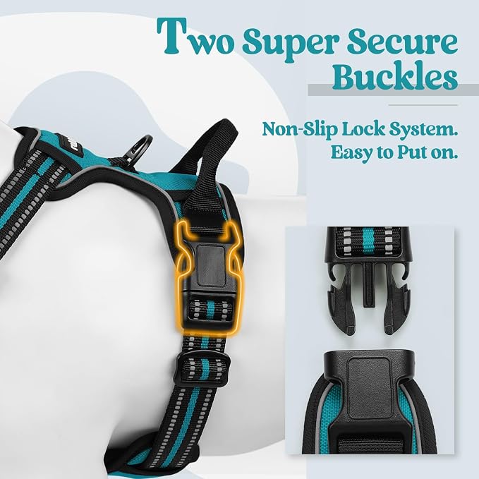 rabbitgoo Dog Harness, No Pull for Large Dogs with 2 Leash Clips, Pet Vest | No Choke, Adjustable, Breathable Padded, 2 Lead Rings, Reflective, Easy Control for Walking Training, XL, Teal