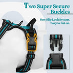 rabbitgoo Dog Harness, No Pull Medium Sized with 2 Leash Clips, Pet Vest | No Choke with Handle, Adjustable Soft Padded, Reflective, Easy Control for Walking, Teal, Medium