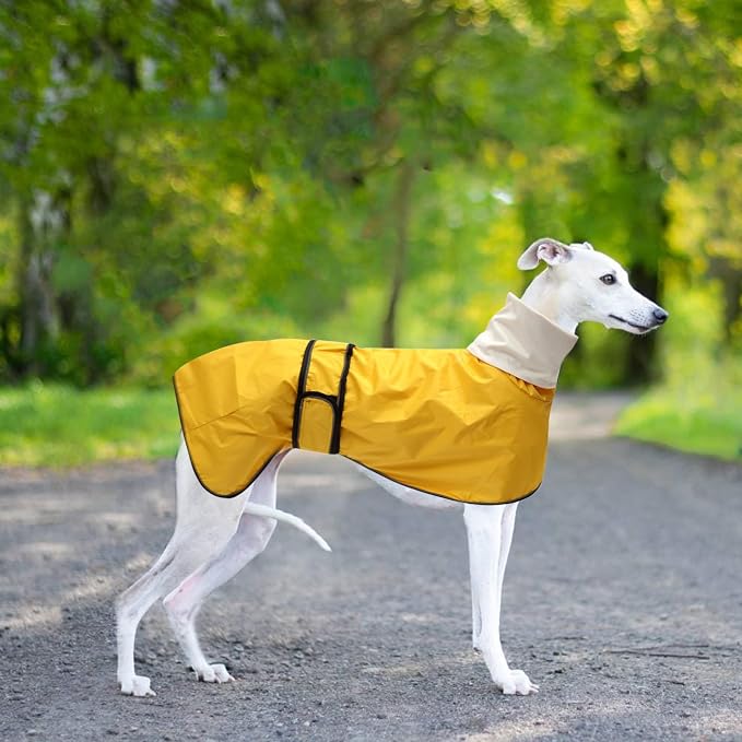 Greyhound Whippet Raincoat Waterproof with Reflective Stripe high Neck fit for Italian Greyhounds Whippets Long Back Breeds - Yellow - XXL