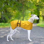 Greyhound Whippet Raincoat Waterproof with Reflective Stripe high Neck fit for Italian Greyhounds Whippets Long Back Breeds - Yellow - XXL