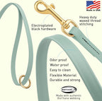 Viper Biothane K9 Working Dog Leash Waterproof Lead for Tracking Training Schutzhund Odor-Proof Long Line with Solid Brass Snap for Puppy Medium and Large Dogs 6ft, Sage Green