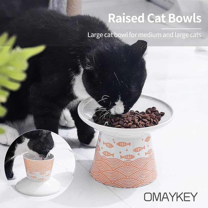 6.25 Inch Extra Wide Ceramic Raised Cat Bowls, Elevated Cat Dish Set | Prevent Neck, Whisker Fatigue, Anti Vomit, for Elder Big Cats & Small Dogs, Dishwasher Microwave Safe, Green & Orange
