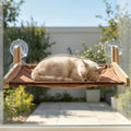 JKXJKX Foldable Cat Window Perch - 44Lbs Heavy Duty Hammock with Strong Suction Cups & Wooden Frame, Space Saving Kitty Bed Seat for Large Indoor Cats