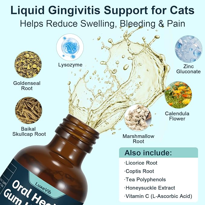 Oral Health for Cats, Cat Gingivitis Treatment, Reduce Gum Inflammation, Redness & Pain, Combats Gum Disease, Natural Plant-Based Active Formula, Cat Oral Care, Gums Health Treatment, 60ml