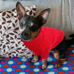 Queenmore Small Dog Pullover Sweater, Cold Weather Cable Knitwear, Classic Turtleneck Thick Warm Clothes for Chihuahua, Bulldog, Dachshund, Pug (Red, Medium)