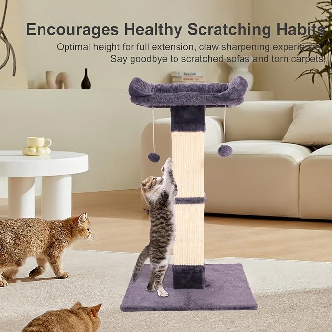 34" Cat Scratching Post for Indoor Cats, Sisal Cat Scratcher with Large Plush Perch, Vertical Posts with Elevated Bed and with Two Dangling Balls, Removable & Washable Cover, Dark Grey