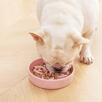 vancasso Ceramic Slow Feeder Dog Bowls, Puzzle Dog Food Bowls with Floral Maze, Anti -Slip Pet Food Dish for Small Breed, 0.6 Cups, Pink