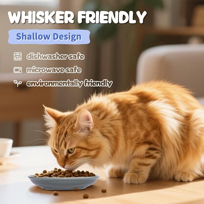 [8 Pack] Ceramic Cat Food Bowl, Colorful Cat Bowls Whisker-Friendly, 5.9" Shallow Wide Kitten Plates, Easy to Clean Indoor Feeding Dishes