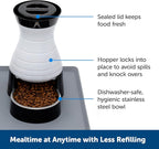 PetSafe Healthy Pet Food Station, 2 lb Gravity Feeder, Cats & Dogs, Small | Dry Food Dispenser, Removable Stainless Steel Bowl Is Dishwasher Safe, Space-Saving Design