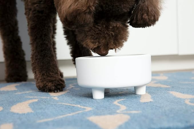 Waggo Uplift Ceramic Dog Bowl for Small Medium and Large Breeds - Heavyweight and Durable Pet Food and Water Dish Crock, Dishwasher Safe, Modern, Elevated Feeder (White, Small)