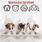 DogBuddy Waterproof Dog Food Mat with Raised Edge, Silicone - Nonslip Pet Feeding Mat for Floors (M: 21' x 14', Vanilla)
