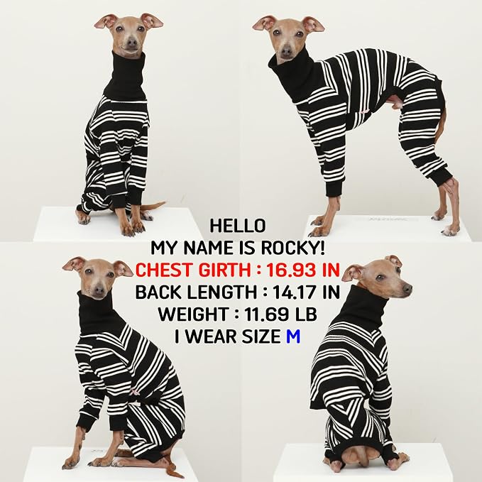 D Doggy Star Italian Greyhound Clothes Soft Stretchy Onesie Refined Stripe Outfit Whippet for Dog Coat (S,Onsi Ivory Str)