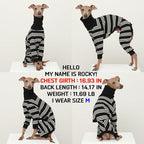 D Doggy Star Italian Greyhound Clothes Soft Stretchy Onesie Refined Stripe Outfit Whippet for Dog Coat (XL,Onsi Ivory Str)