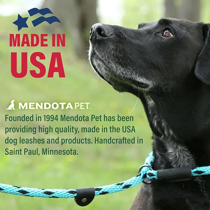 Mendota Pet Slip Leash - Dog Lead and Collar Combo - Made in The USA - Pink Camo, 1/2 in x 6 ft - for Large Breeds