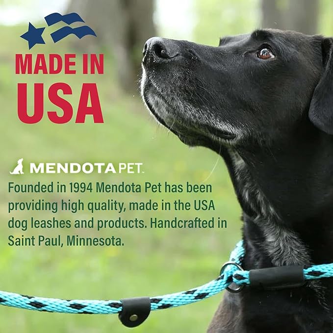 Mendota Pet Slip Leash - Dog Lead and Collar Combo - Made in The USA - Black Ice Turquoise, 3/8 in x 6 ft - for Small/Medium Breeds